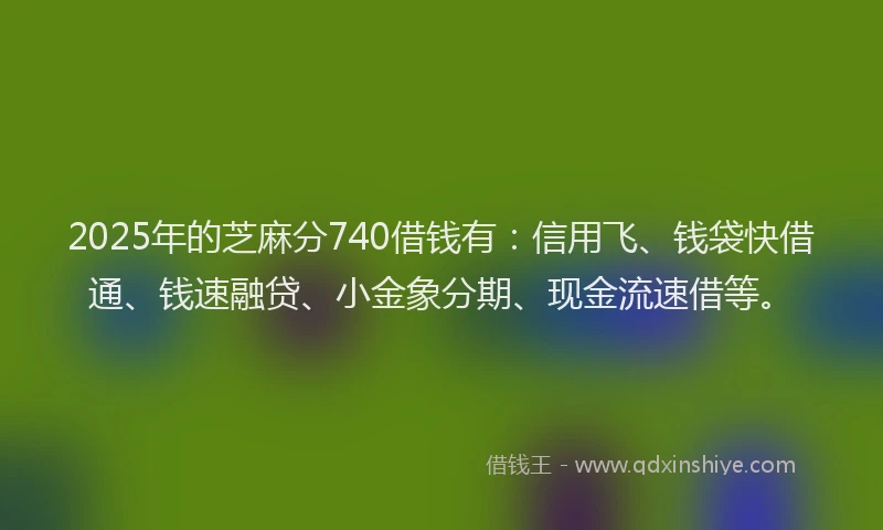 2025年的芝麻分740借钱有：信用飞、钱袋快借通、钱速融贷、小金象分期、现金流速借等。