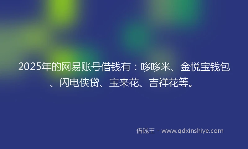 2025年的网易账号借钱有:哆哆米、金悦宝钱包、闪电侠贷、宝来花、吉祥花等。