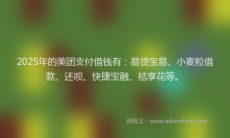 2025年的美团支付借钱有：易贷宝易、小麦粒借款、还呗、快捷宝融、桔享花等。