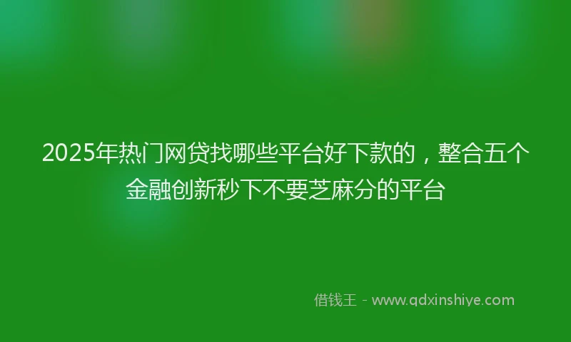 2025年热门网贷找哪些平台好下款的，整合五个金融创新秒下不要芝麻分的平台