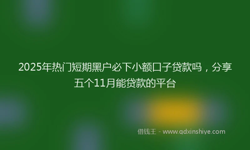 2025年热门短期黑户必下小额口子贷款吗，分享五个11月能贷款的平台