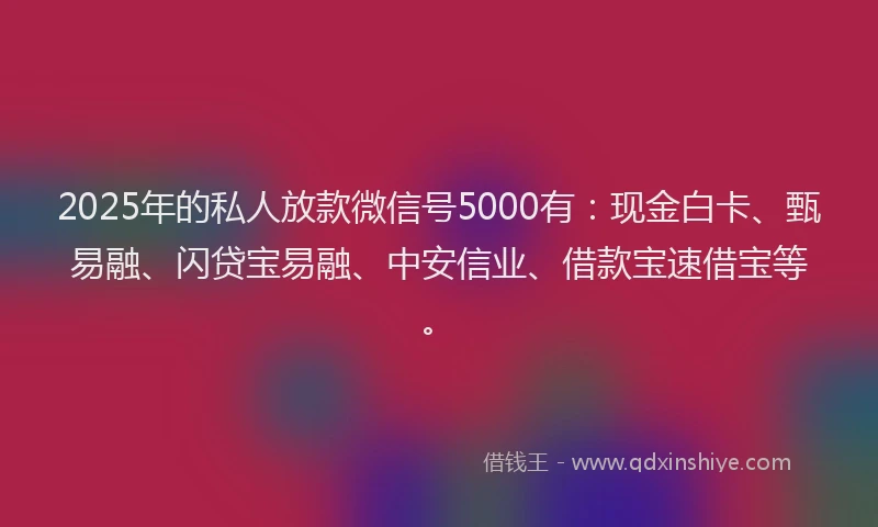 2025年的私人放款微信号5000有:现金白卡、甄易融、闪贷宝易融、中安信业、借款宝速借宝等。