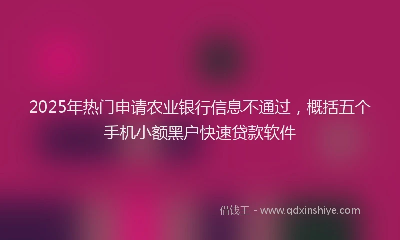 2025年热门申请农业银行信息不通过，概括五个手机小额黑户快速贷款软件