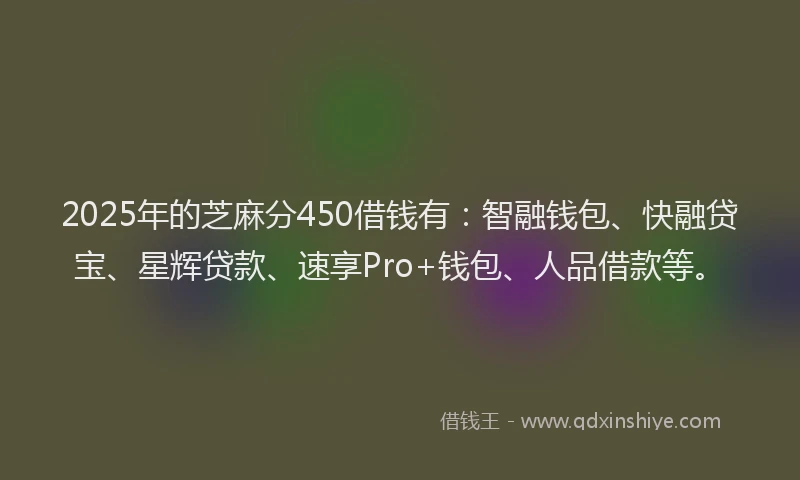 2025年的芝麻分450借钱有:智融钱包、快融贷宝、星辉贷款、速享Pro+钱包、人品借款等。