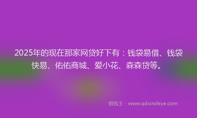 2025年的现在那家网贷好下有：钱袋易借、钱袋快易、佑佑商城、爱小花、森森贷等。