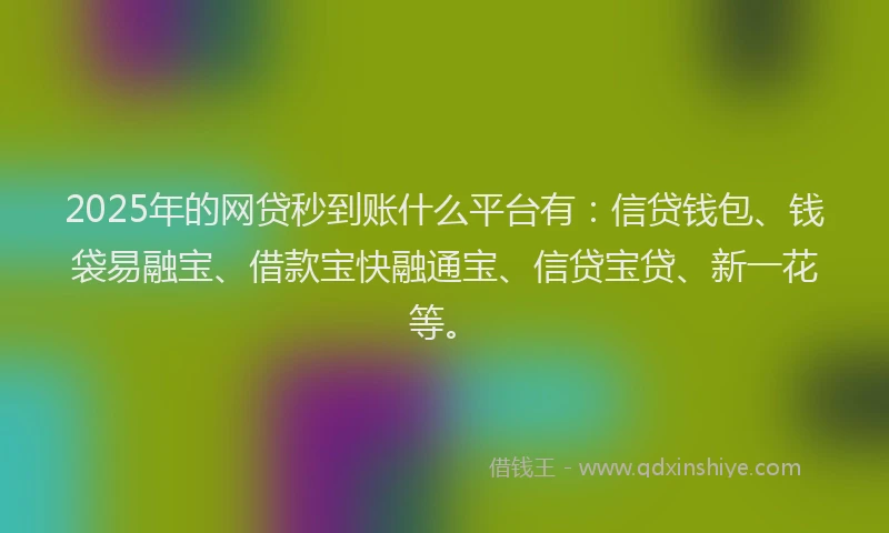 2025年的网贷秒到账什么平台有：信贷钱包、钱袋易融宝、借款宝快融通宝、信贷宝贷、新一花等。