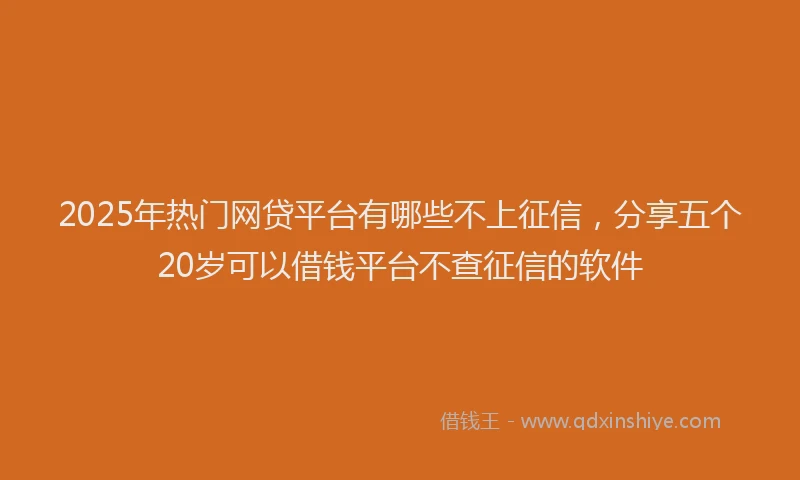 2025年热门网贷平台有哪些不上征信，分享五个20岁可以借钱平台不查征信的软件