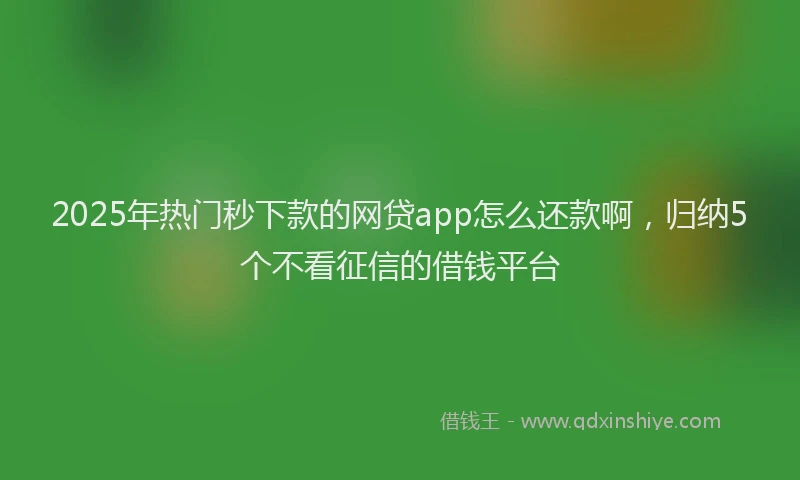 2025年热门秒下款的网贷app怎么还款啊，归纳5个不看征信的借钱平台