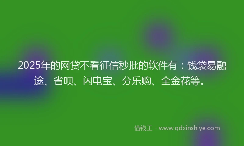 2025年的网贷不看征信秒批的软件有：钱袋易融途、省呗、闪电宝、分乐购、全金花等。