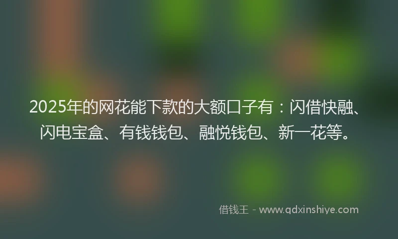 2025年的网花能下款的大额口子有：闪借快融、闪电宝盒、有钱钱包、融悦钱包、新一花等。