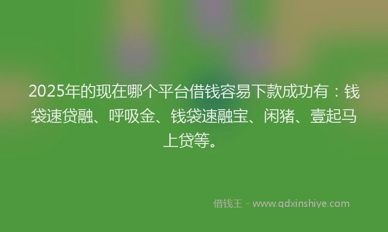 2025年的现在哪个平台借钱容易下款成功有:钱袋速贷融、呼吸金、钱袋速融宝、闲猪、壹起马上贷等。