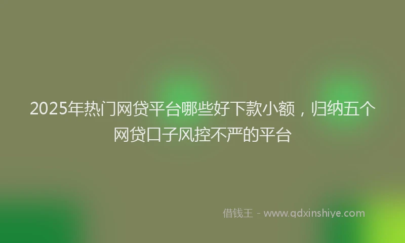 2025年热门网贷平台哪些好下款小额，归纳五个网贷口子风控不严的平台