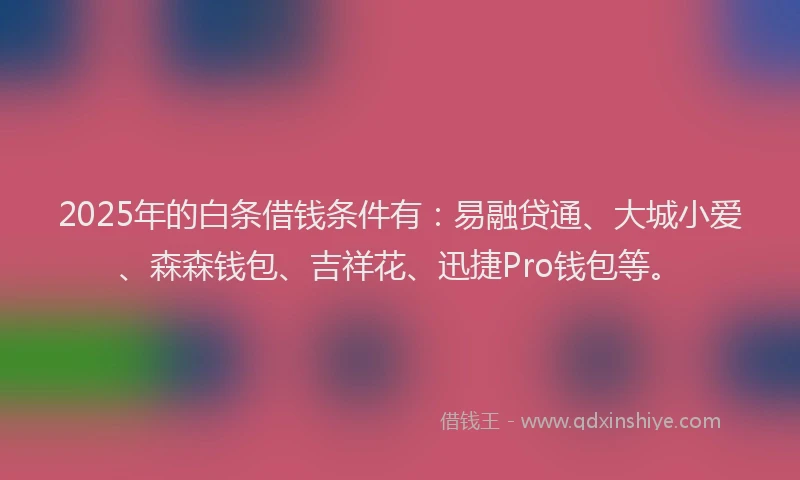 2025年的白条借钱条件有：易融贷通、大城小爱、森森钱包、吉祥花、迅捷Pro钱包等。