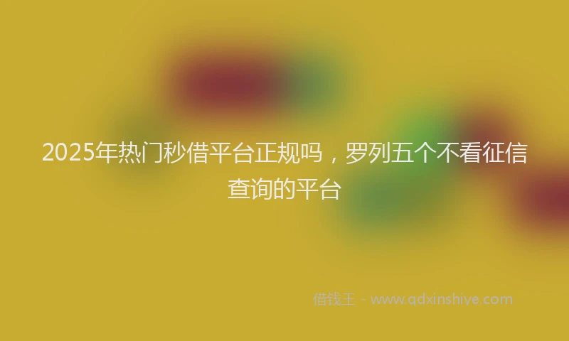 2025年热门秒借平台正规吗，罗列五个不看征信查询的平台