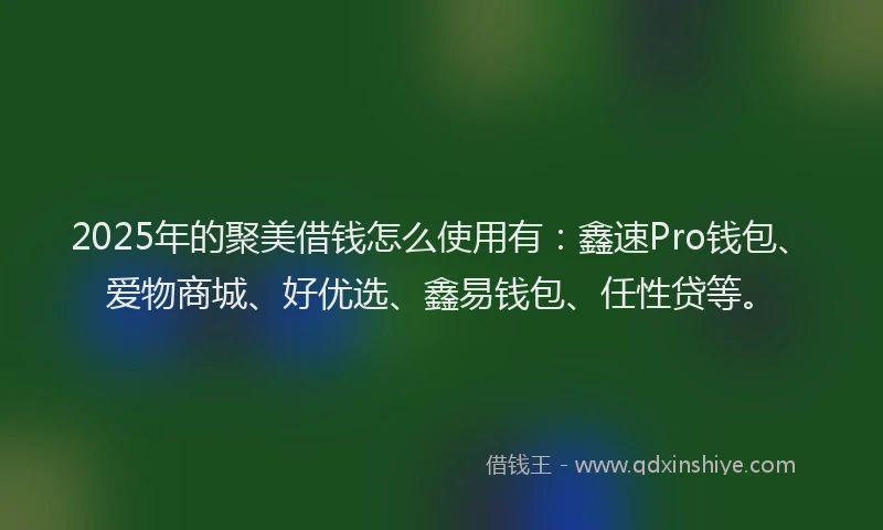 2025年的聚美借钱怎么使用有：鑫速Pro钱包、爱物商城、好优选、鑫易钱包、任性贷等。