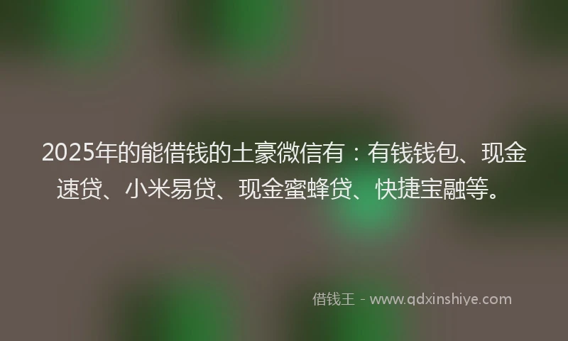 2025年的能借钱的土豪微信有:有钱钱包、现金速贷、小米易贷、现金蜜蜂贷、快捷宝融等。