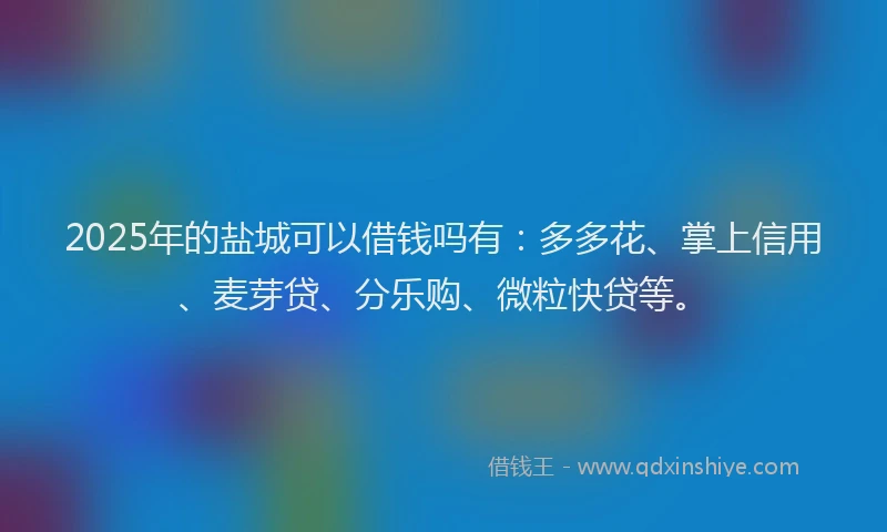2025年的盐城可以借钱吗有：多多花、掌上信用、麦芽贷、分乐购、微粒快贷等。