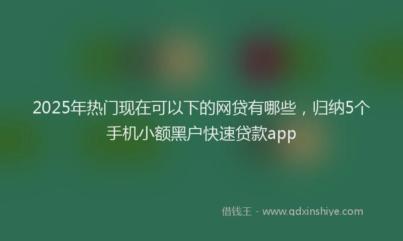 2025年热门现在可以下的网贷有哪些，归纳5个手机小额黑户快速贷款app