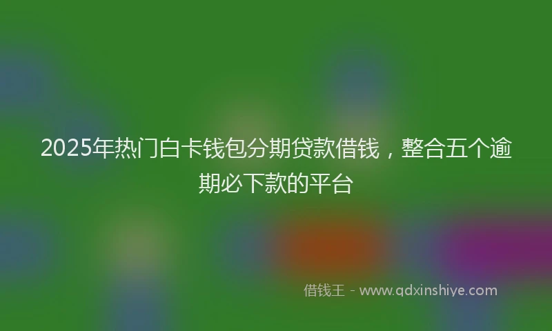 2025年热门白卡钱包分期贷款借钱，整合五个逾期必下款的平台
