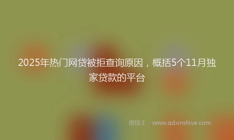 2025年热门网贷被拒查询原因，概括5个11月独家贷款的平台