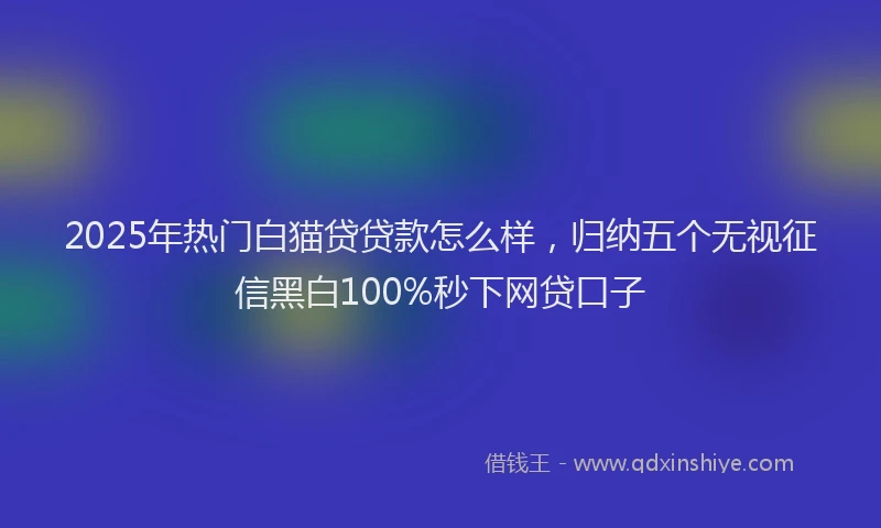 2025年热门白猫贷贷款怎么样，归纳五个无视征信黑白100%秒下网贷口子