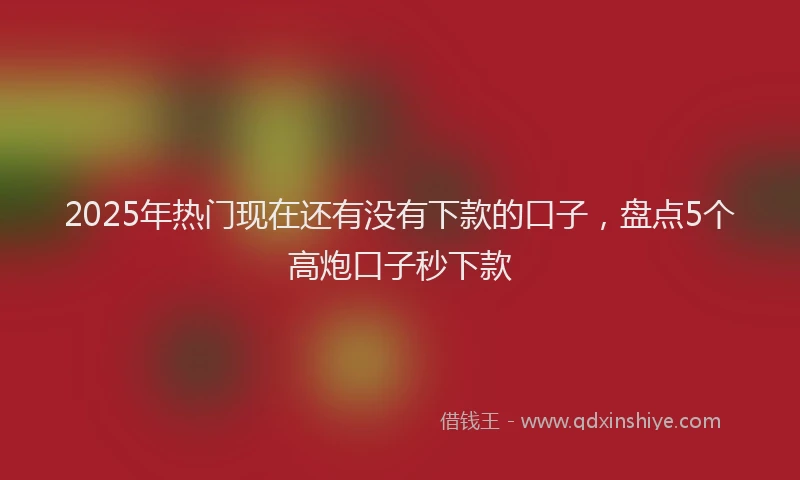2025年热门现在还有没有下款的口子，盘点5个高炮口子秒下款