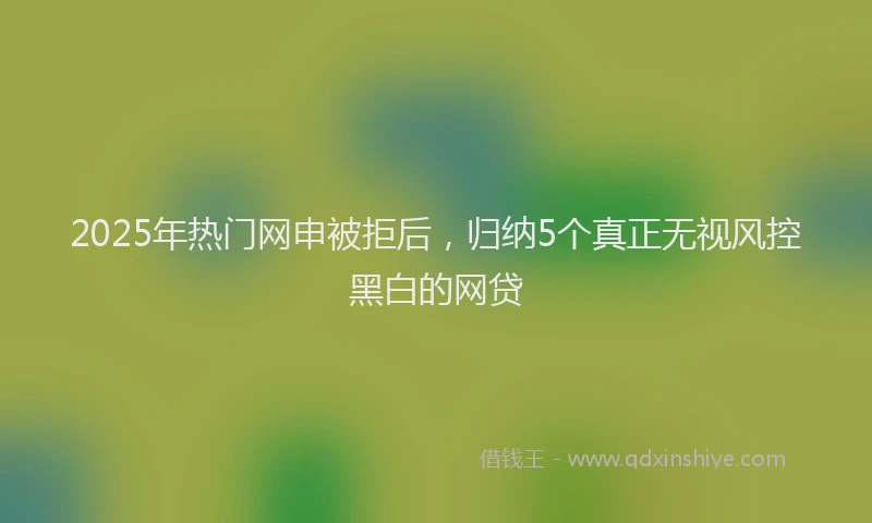 2025年热门网申被拒后，归纳5个真正无视风控黑白的网贷