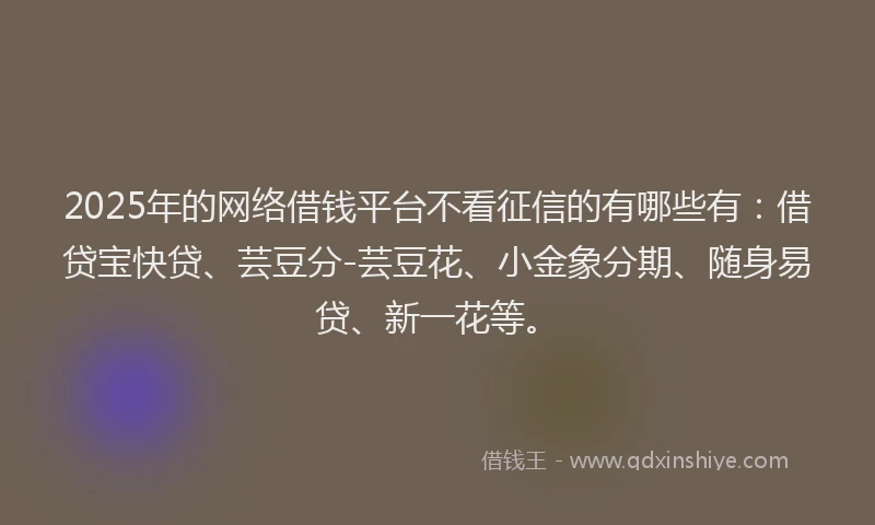 2025年的网络借钱平台不看征信的有哪些有：借贷宝快贷、芸豆分-芸豆花、小金象分期、随身易贷、新一花等。