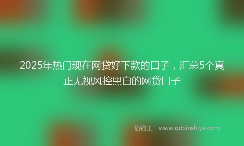2025年热门现在网贷好下款的口子，汇总5个真正无视风控黑白的网贷口子