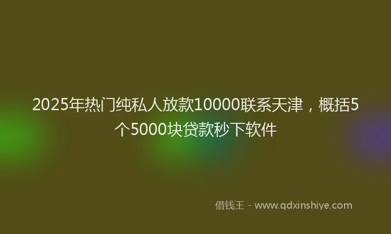 2025年热门纯私人放款10000联系天津，概括5个5000块贷款秒下软件
