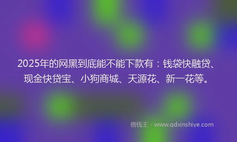 2025年的网黑到底能不能下款有:钱袋快融贷、现金快贷宝、小狗商城、天源花、新一花等。