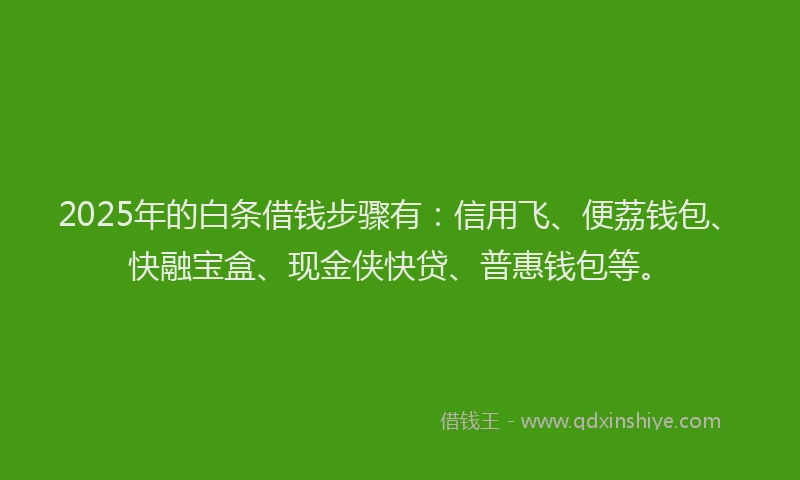 2025年的白条借钱步骤有：信用飞、便荔钱包、快融宝盒、现金侠快贷、普惠钱包等。