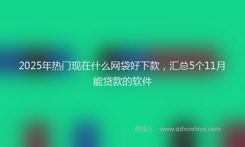 2025年热门现在什么网袋好下款，汇总5个11月能贷款的软件