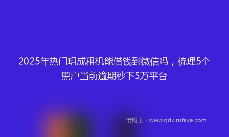 2025年热门玥成租机能借钱到微信吗,梳理5个黑户当前逾期秒下5万平台