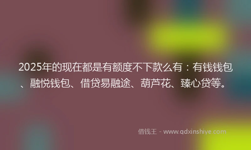 2025年的现在都是有额度不下款么有：有钱钱包、融悦钱包、借贷易融途、葫芦花、臻心贷等。