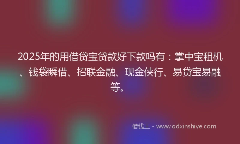 2025年的用借贷宝贷款好下款吗有：掌中宝租机、钱袋瞬借、招联金融、现金侠行、易贷宝易融等。