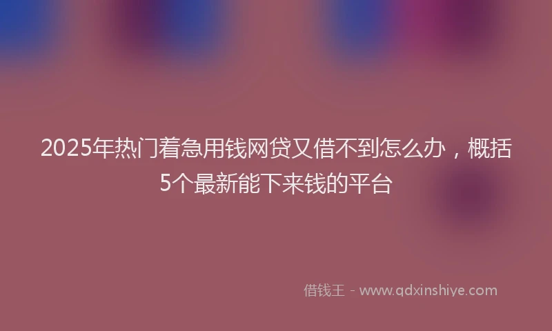 2025年热门着急用钱网贷又借不到怎么办,概括5个最新能下来钱的平台