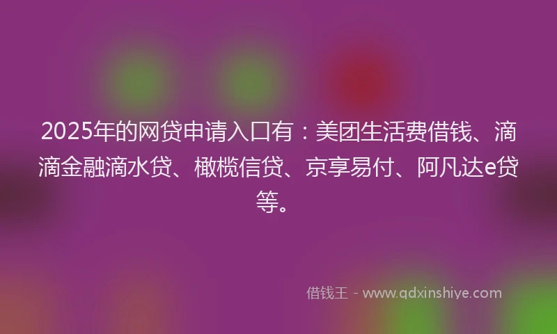 2025年的网贷申请入口有：美团生活费借钱、滴滴金融滴水贷、橄榄信贷、京享易付、阿凡达e贷等。
