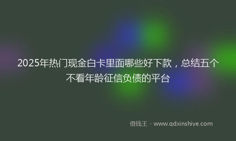 2025年热门现金白卡里面哪些好下款，总结五个不看年龄征信负债的平台