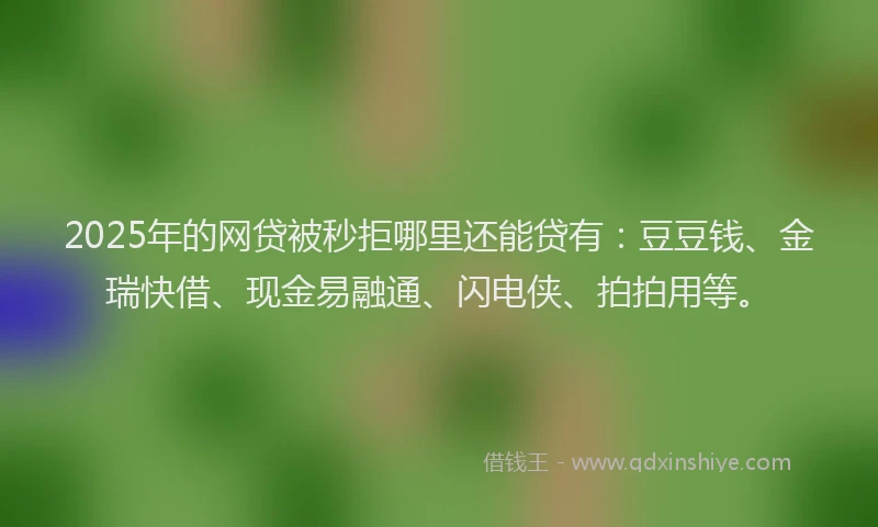 2025年的网贷被秒拒哪里还能贷有：豆豆钱、金瑞快借、现金易融通、闪电侠、拍拍用等。