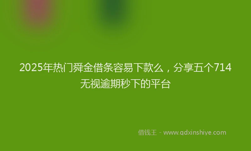 2025年热门舜金借条容易下款么，分享五个714无视逾期秒下的平台