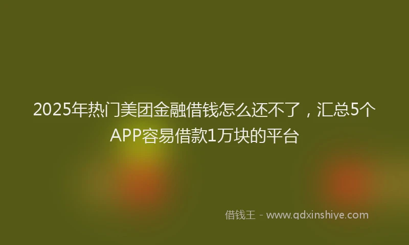 2025年热门美团金融借钱怎么还不了，汇总5个APP容易借款1万块的平台