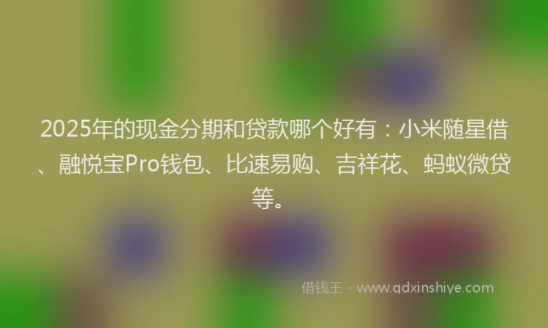2025年的现金分期和贷款哪个好有:小米随星借、融悦宝Pro钱包、比速易购、吉祥花、蚂蚁微贷等。