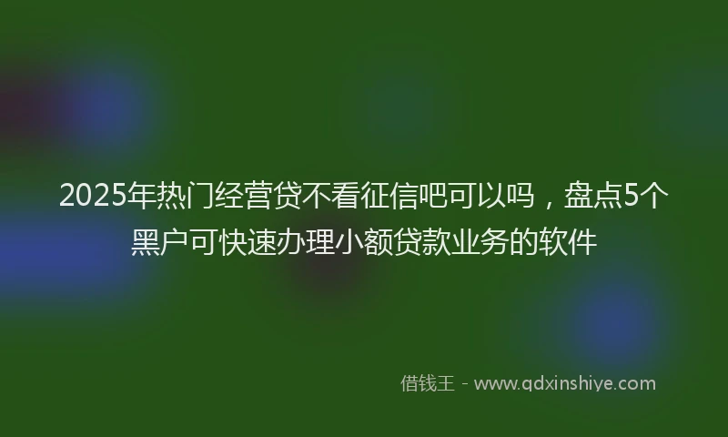 2025年热门经营贷不看征信吧可以吗，盘点5个黑户可快速办理小额贷款业务的软件