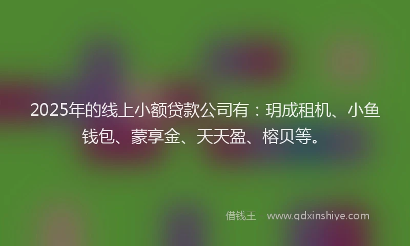 2025年的线上小额贷款公司有：玥成租机、小鱼钱包、蒙享金、天天盈、榕贝等。