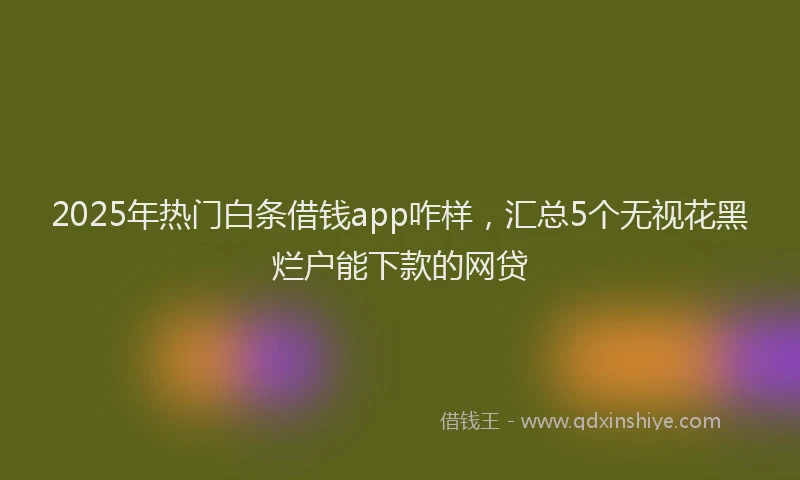 2025年热门白条借钱app咋样，汇总5个无视花黑烂户能下款的网贷