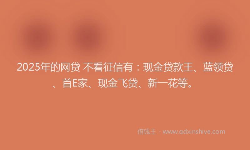 2025年的网贷 不看征信有：现金贷款王、蓝领贷、首E家、现金飞贷、新一花等。