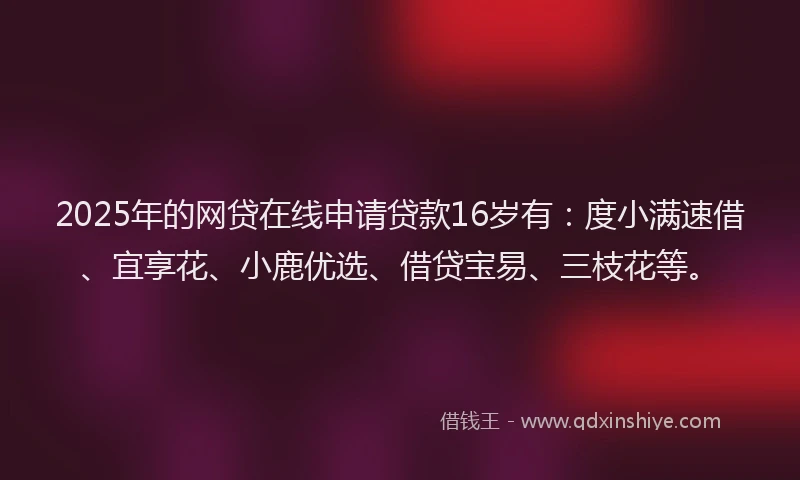2025年的网贷在线申请贷款16岁有:度小满速借、宜享花、小鹿优选、借贷宝易、三枝花等。