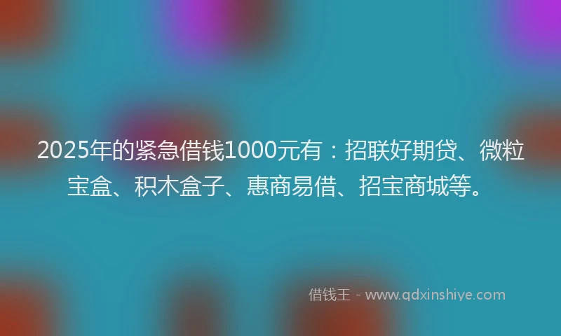 2025年的紧急借钱1000元有：招联好期贷、微粒宝盒、积木盒子、惠商易借、招宝商城等。