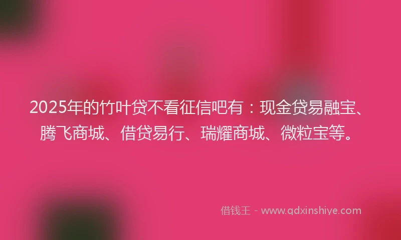 2025年的竹叶贷不看征信吧有:现金贷易融宝、腾飞商城、借贷易行、瑞耀商城、微粒宝等。